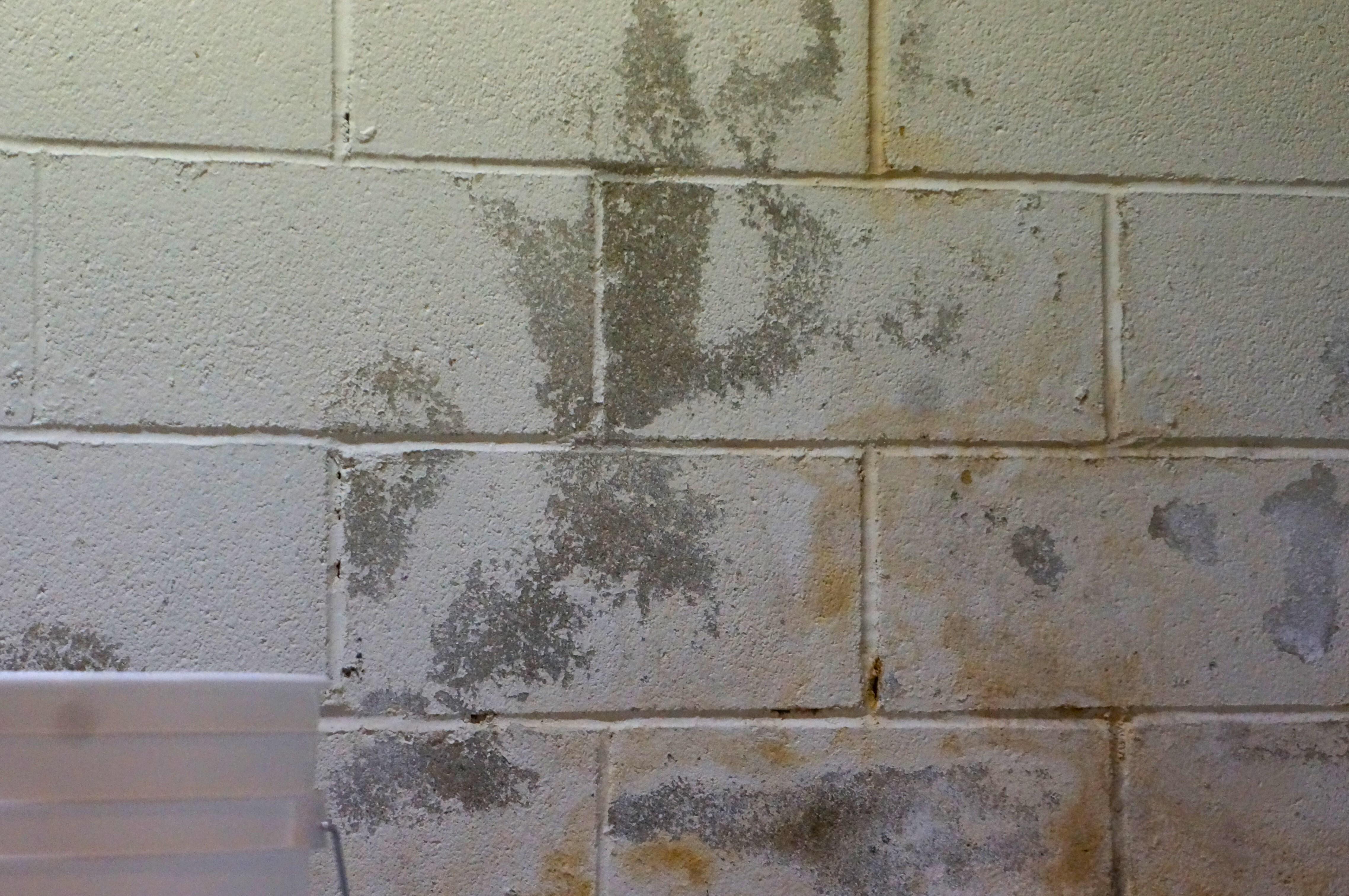 severely damaged basement walls