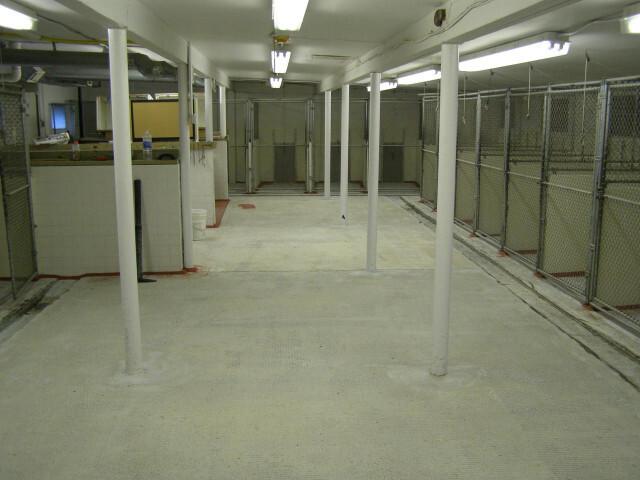 damaged kennel floors